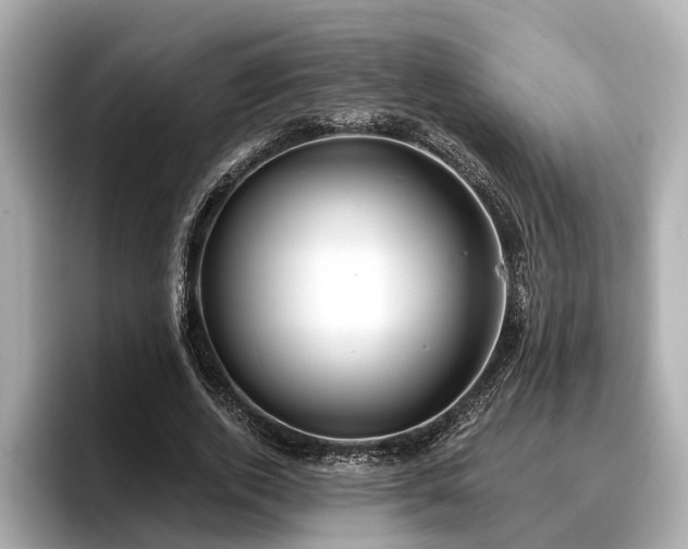 X0000096710728200802051421