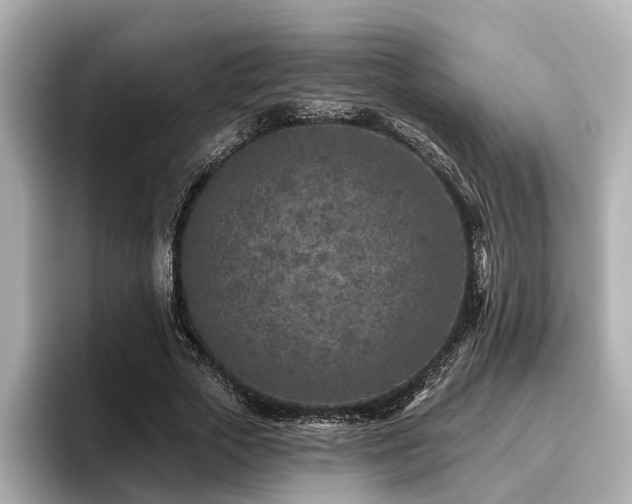 X0000096710729200802051421