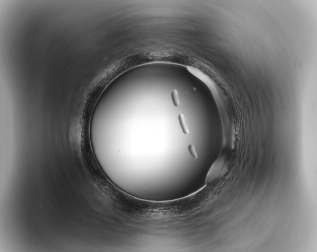 X0000096710732200802051421