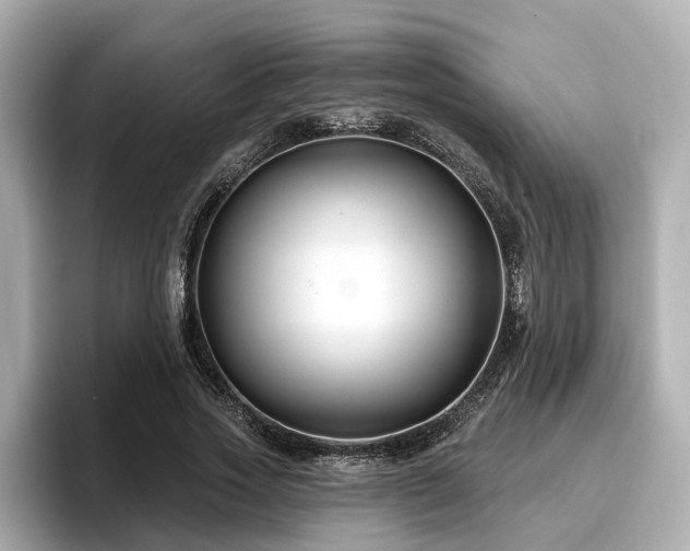 X0000096710733200802051421