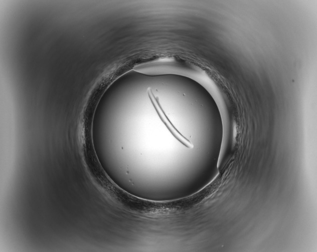 X0000096710734200802051421