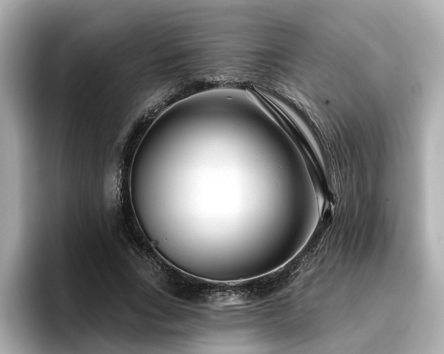 X0000096710735200802051421