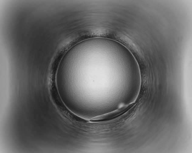 X0000096710736200802051421