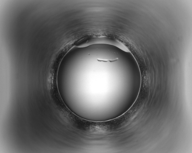 X0000096710739200802051421