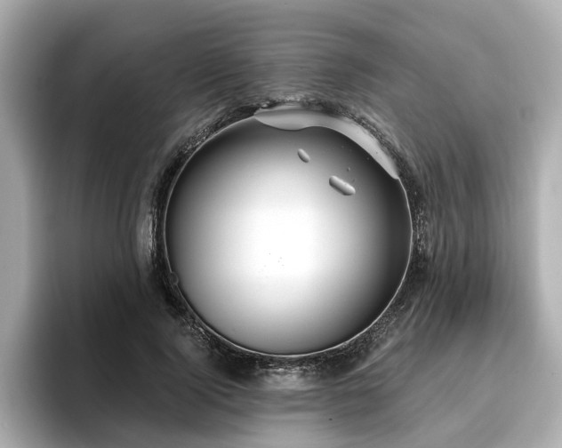 X0000096710740200802051421