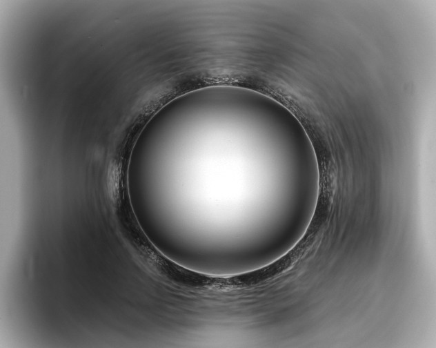 X0000096710742200802051421