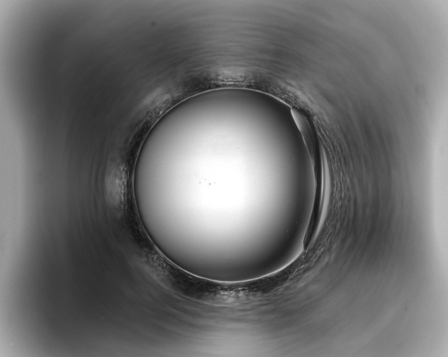 X0000096710744200802051421