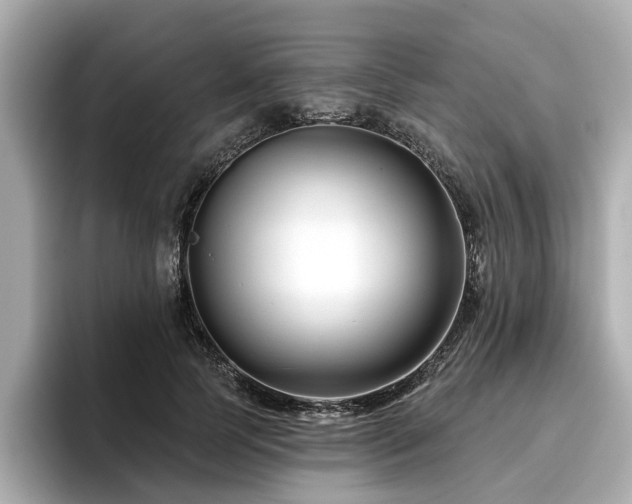 X0000096710745200802051421