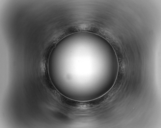 X0000096710746200802051421