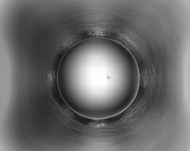 X0000096710747200802051421