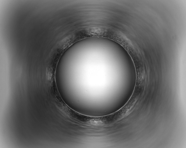 X0000096710749200802051421