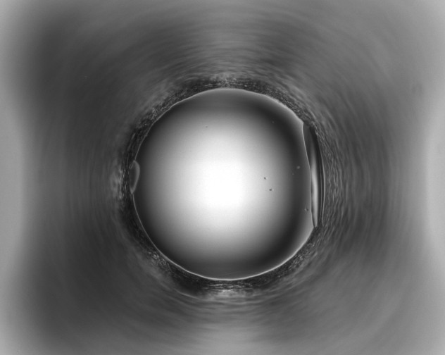 X0000096710750200802051421