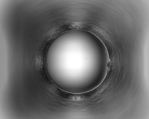 X0000096710751200802051421