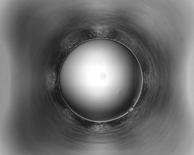 X0000096710752200802051421