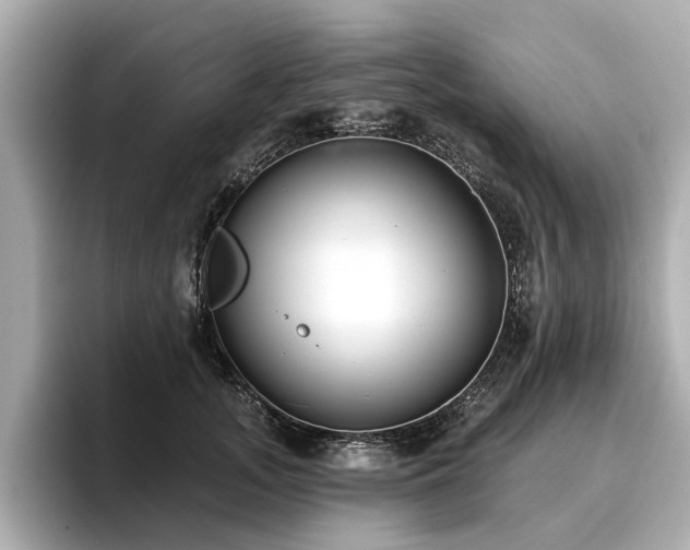 X0000096710755200802051421