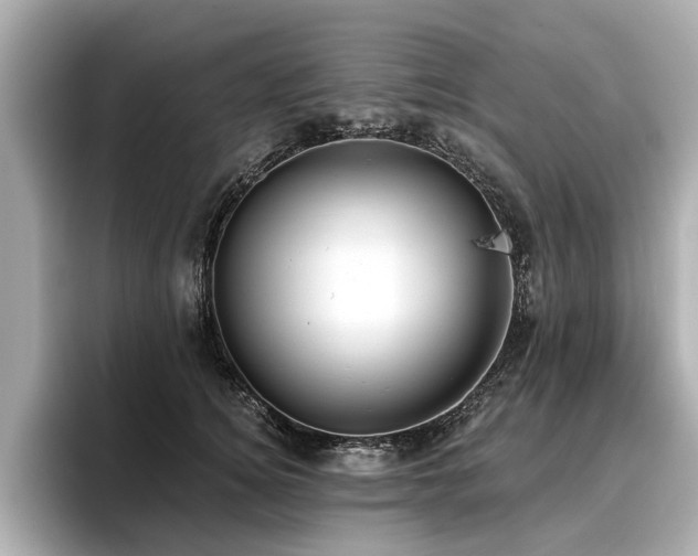 X0000096710756200802051421