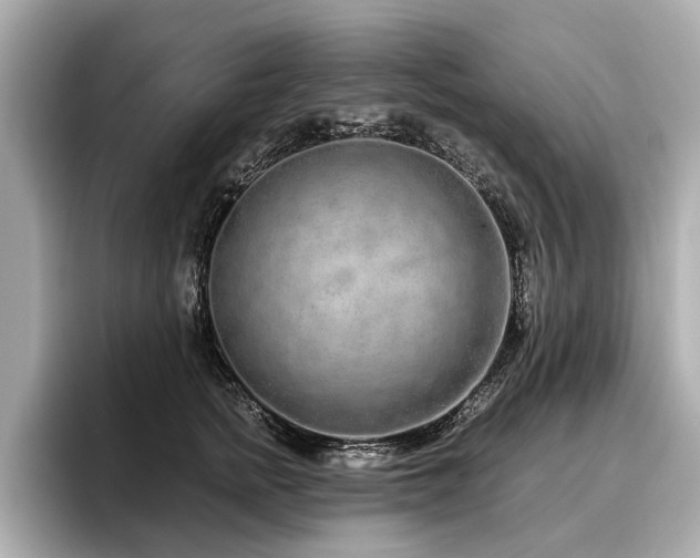 X0000096710758200802051421