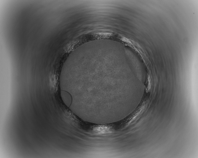 X0000096710759200802051421