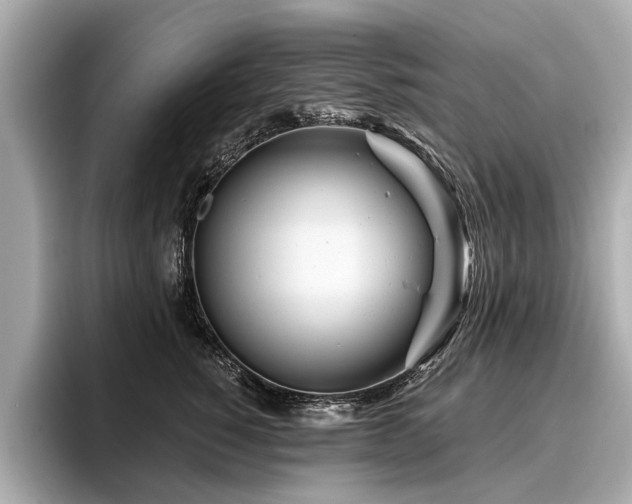 X0000096710760200802051421