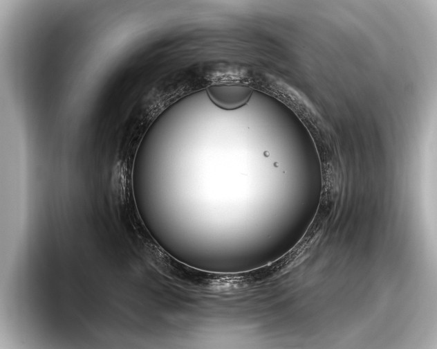 X0000096710761200802051421