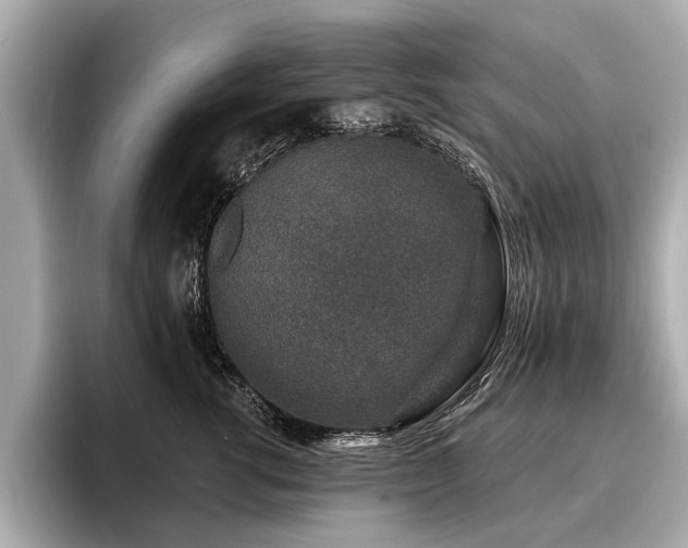 X0000096710762200802051421