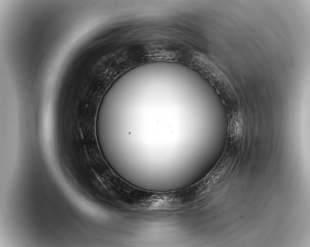 X0000096710764200802051421