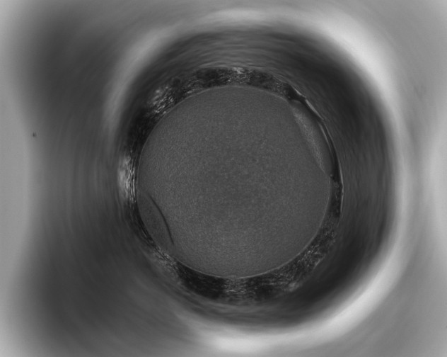 X0000096710766200802051421