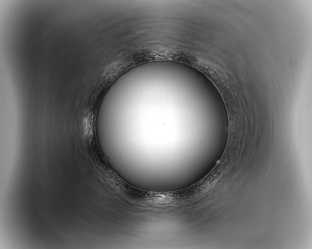 X0000096710768200802051421