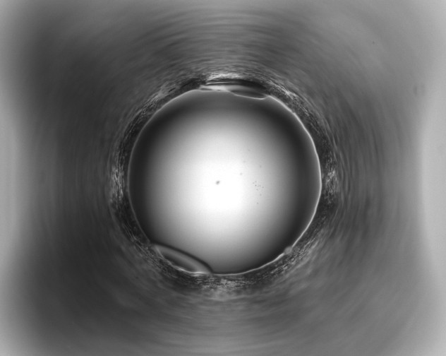 X0000096710772200802051420