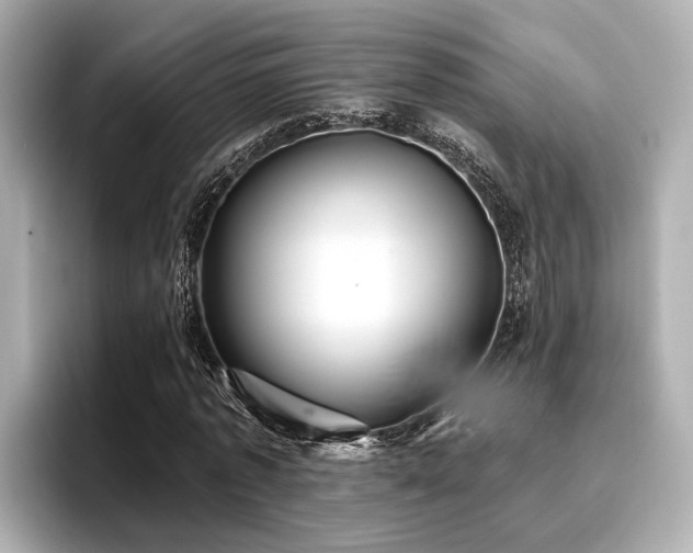 X0000096710773200802051420