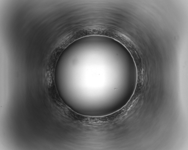 X0000096710774200802051420