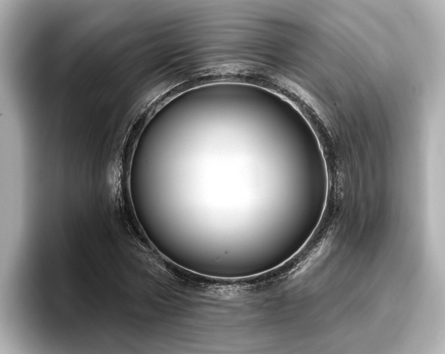 X0000096710778200802051420