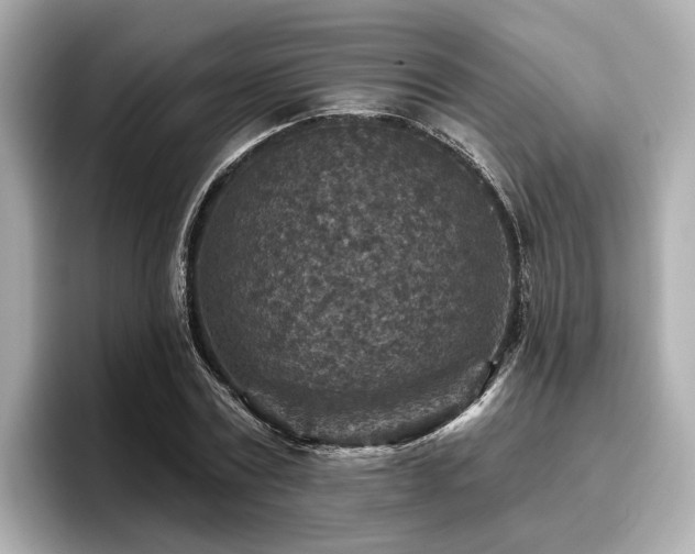 X0000096710779200802051420