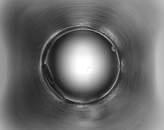 X0000096710780200802051420