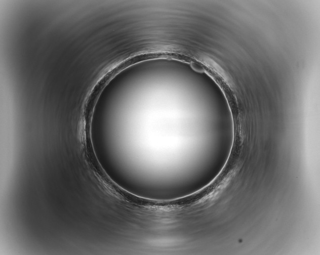 X0000096710781200802051420