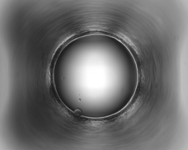 X0000096710782200802051420