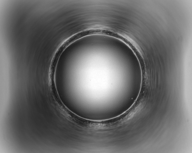 X0000096710783200802051420