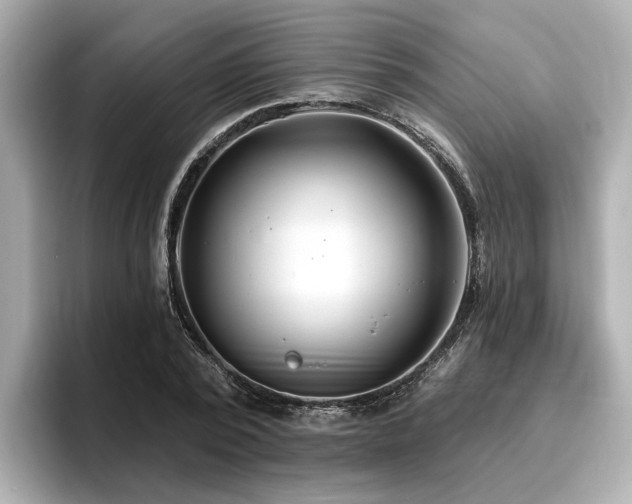 X0000096710784200802051420