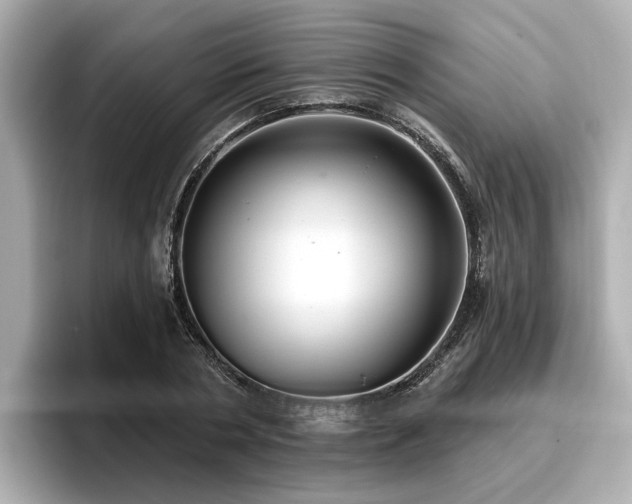 X0000096710786200802051420