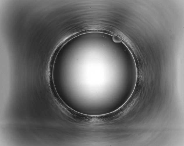 X0000096710787200802051420