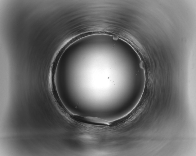 X0000096710788200802051420