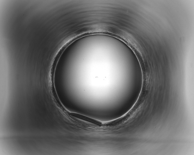 X0000096710789200802051420