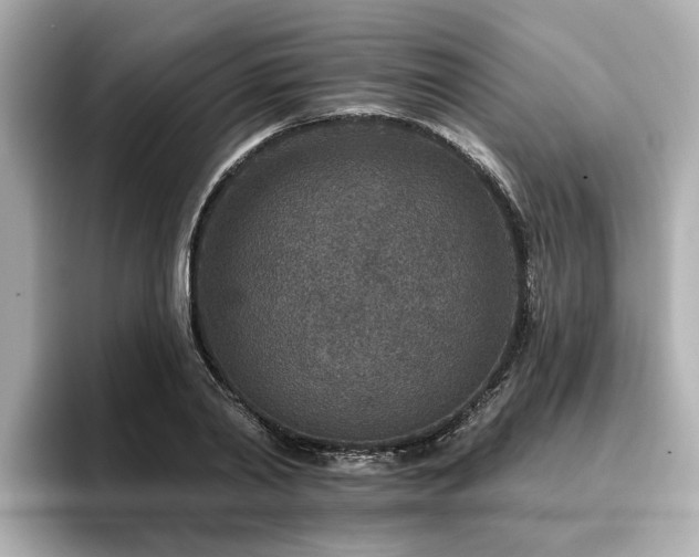 X0000096710790200802051420