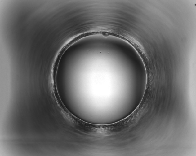 X0000096710792200802051420