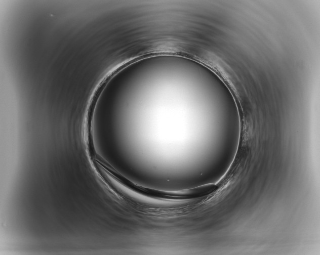 X0000096710795200802051420