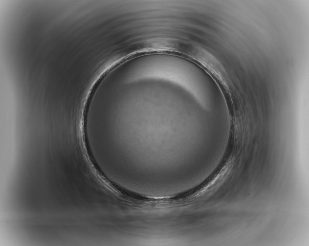 X0000096710797200802051420