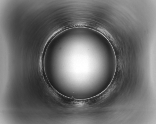 X0000096710798200802051420