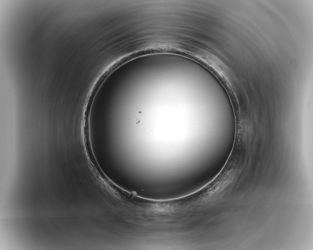 X0000096710799200802051420