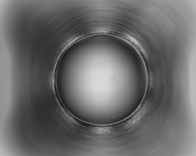 X0000096710802200802051420