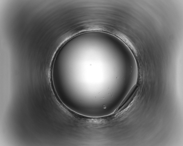 X0000096710805200802051420